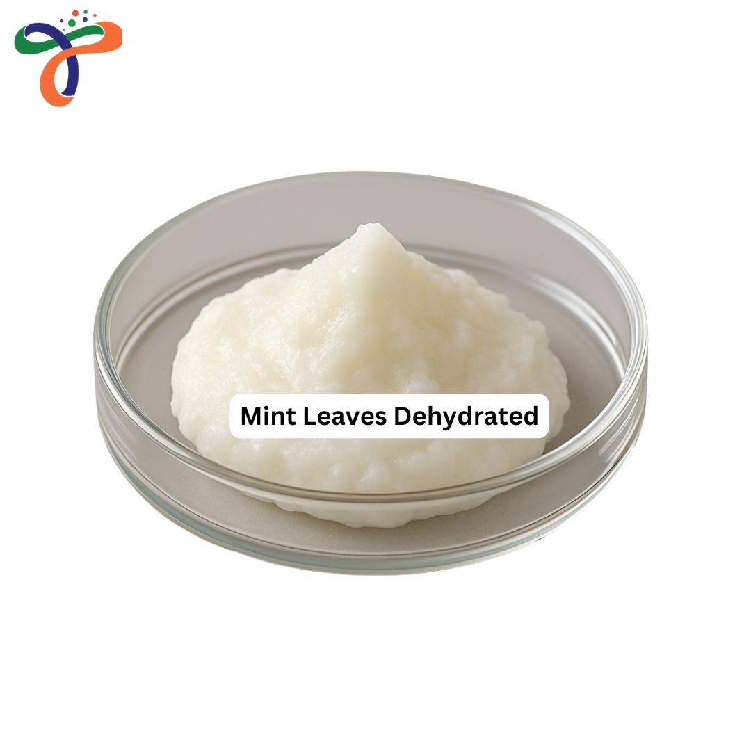 Mint Leaves Dehydrated